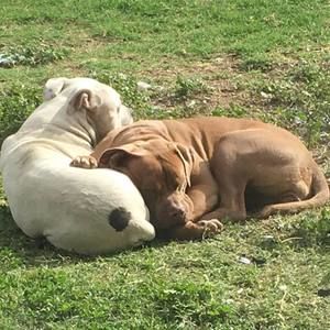 Meet your Posher, Joyce